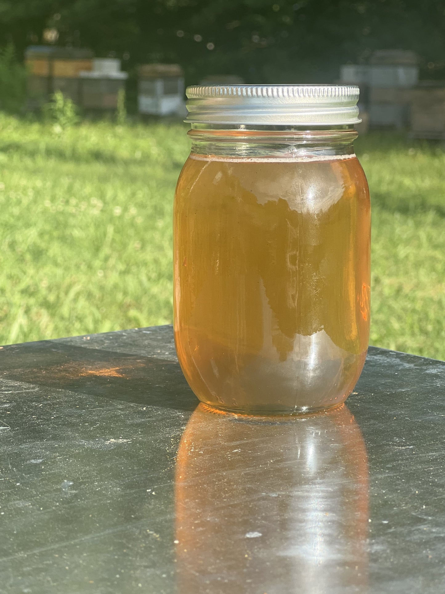 Single-Hive to Jar Honey (net weight 22 oz)